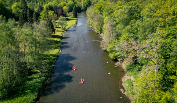 WBT - Trekking & Voyage-Vue aérienne sur la Semois entre les arbres -> La Semois serpente parmi les arbres dans cet écrin qu’est le Parc Naturel de la Vallée de la Semois © WBT - Trekking & Voyage