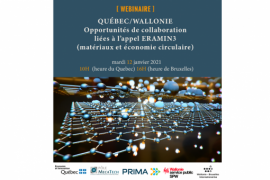 Webinaire "Québec-Wallonie: opportunités de collaboration dans le domaine des nouveaux matériaux et de l'économie circulaire" Webinaire "Québec-Wallonie: opportunités de collaboration dans le domaine des nouveaux matériaux et de l'économie circulaire"