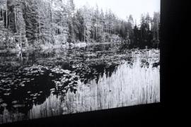 © Hélène Petite, Exposition Horizons, BANG, 2019. Photo : FDR © Hélène Petite, Exposition Horizons, BANG, 2019. Photo : FDR